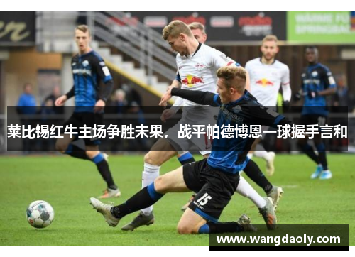 莱比锡红牛主场争胜未果，战平帕德博恩一球握手言和