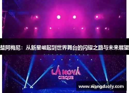 楚阿梅尼：从新星崛起到世界舞台的闪耀之路与未来展望