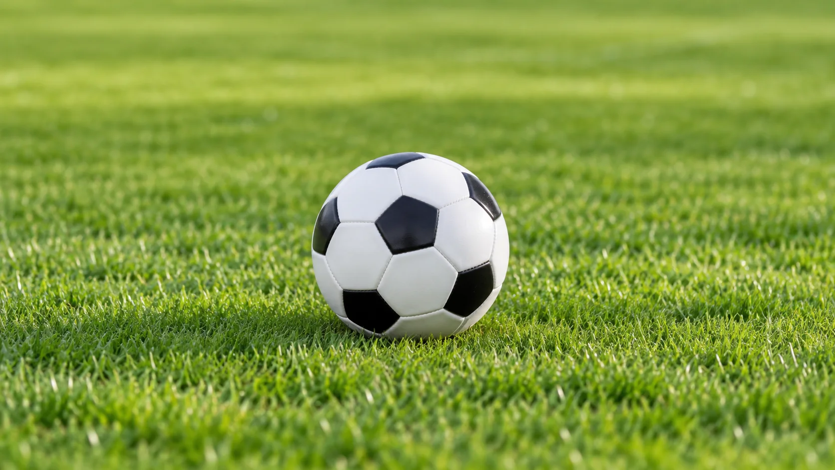 beats365(中文)-唯一官方网站