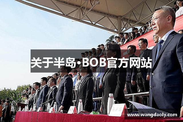 关于半岛·BOB官方网站